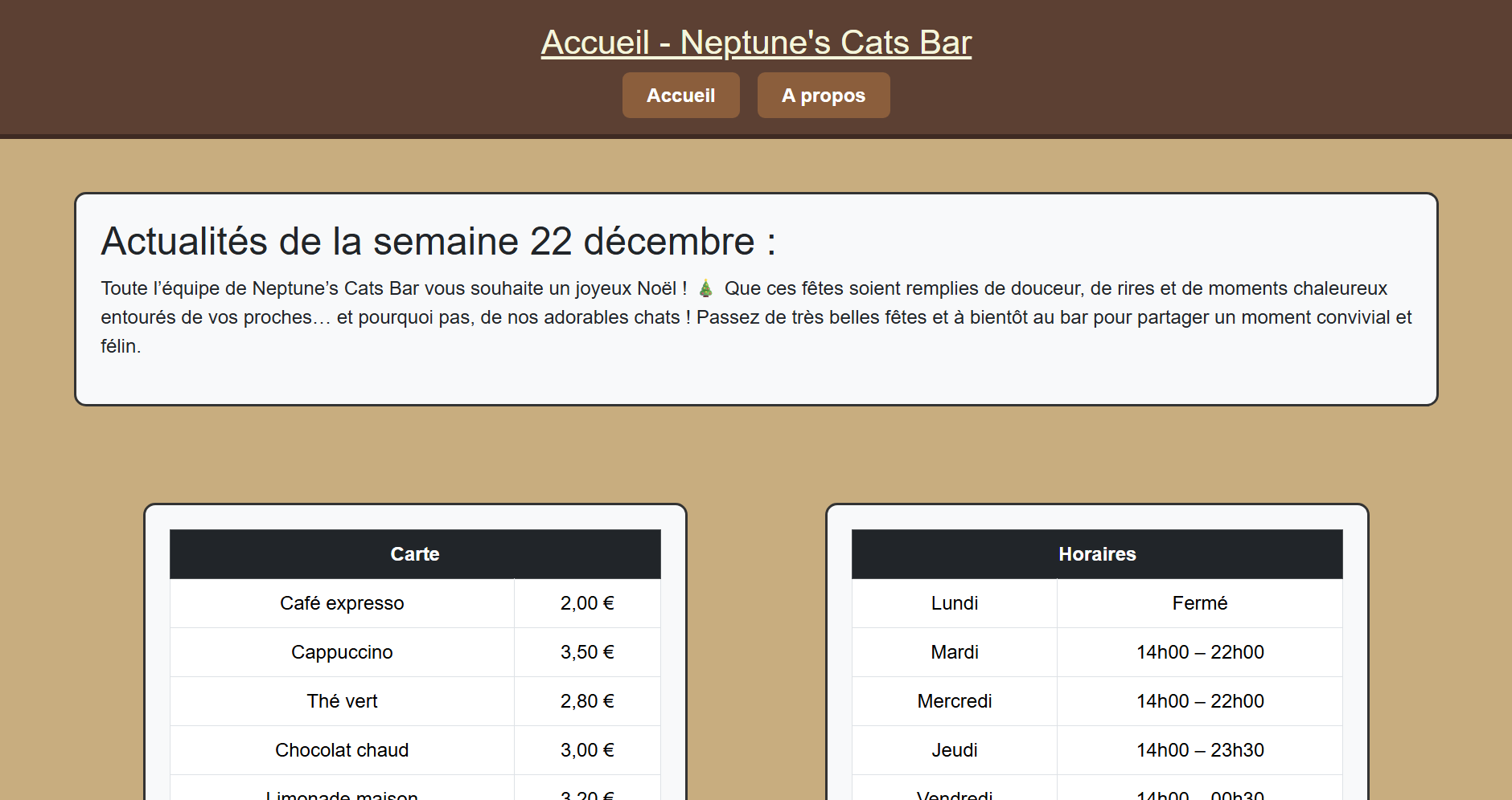 Screenshot aperçu du site du bar à chat que j'ai fait.